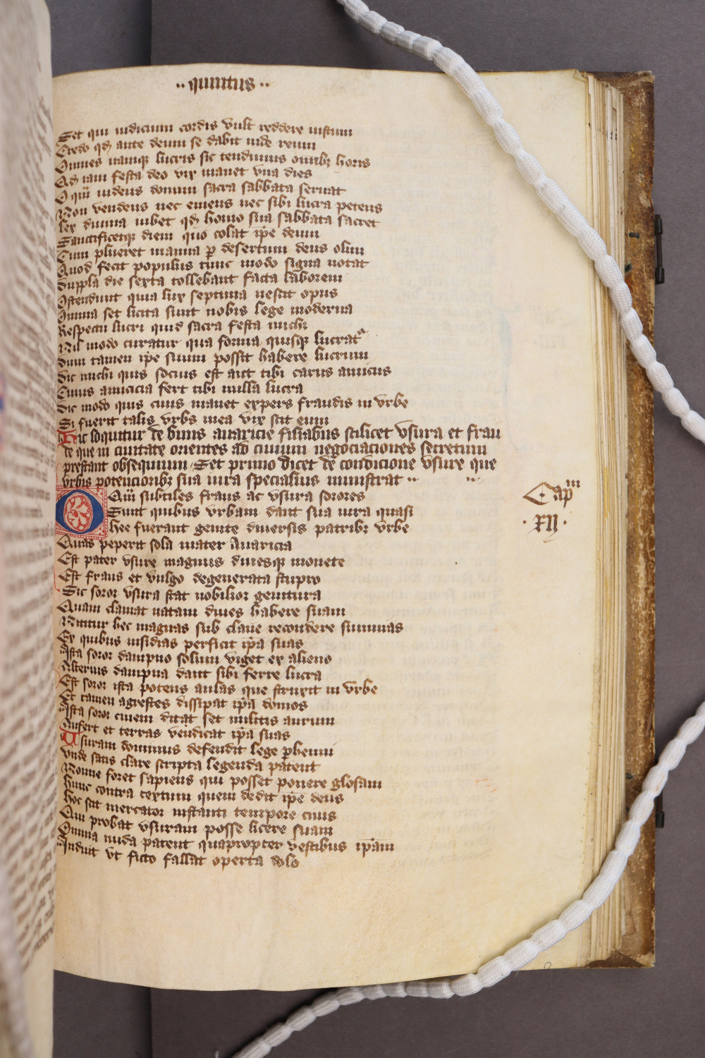 Folio 81 recto